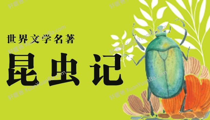《昆虫记》104集儿童科普经典故事MP3音频 百度云网盘下载