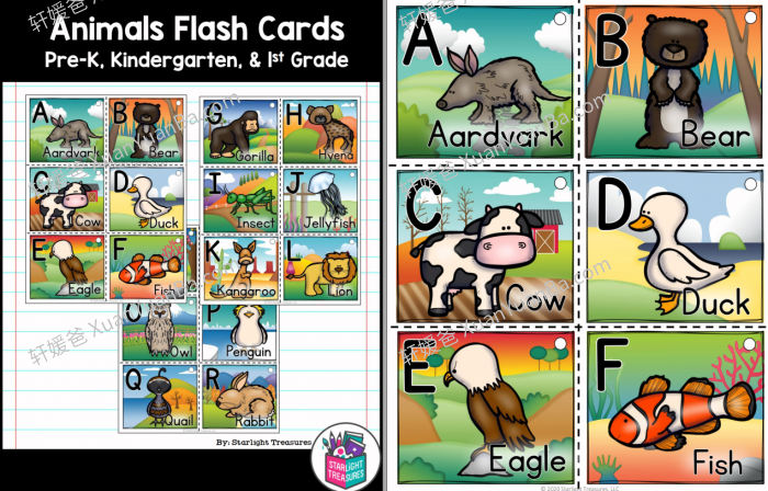 《Alphabet 字母海报涂色闪卡》3册英语主题闪卡PDF 百度云网盘下载