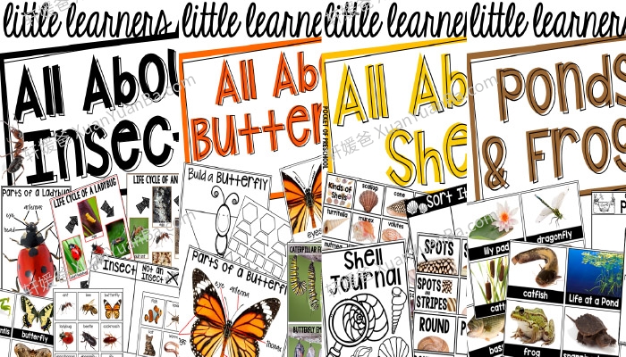 《Preschool Science BUNDLE》科学实践手工作业纸PDF 百度云网盘下载