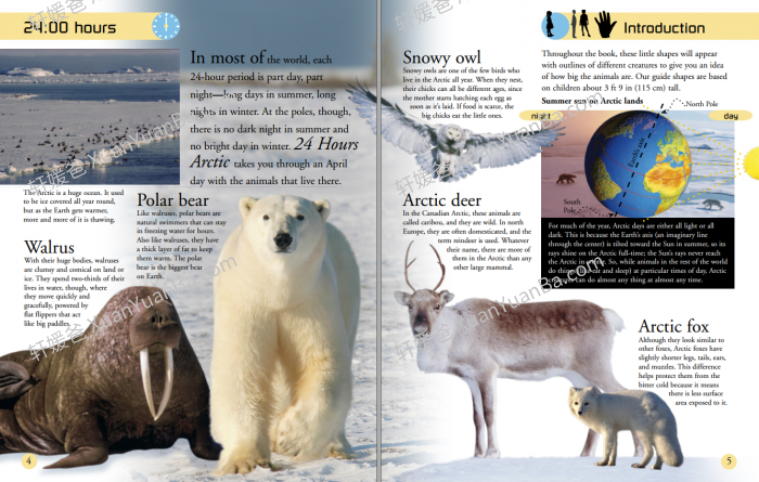 《百科读物 DK 24 Hours》超精美科普英文绘本PDF 百度云网盘下载