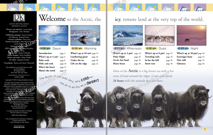 《百科读物 DK 24 Hours》超精美科普英文绘本PDF 百度云网盘下载