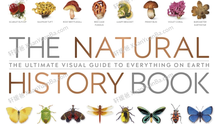 《The Natural History Book》664页DK科普类知识绘本PDF 百度云网盘下载