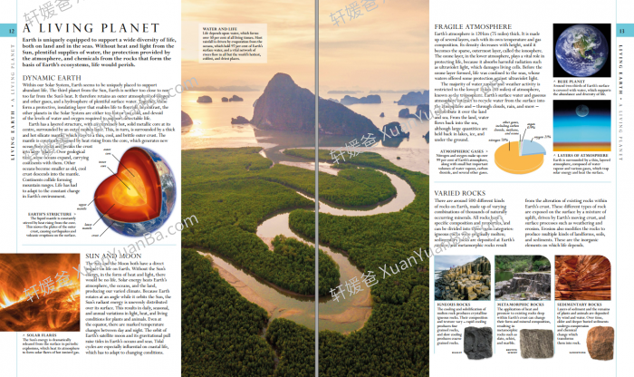 《The Natural History Book》664页DK科普类知识绘本PDF 百度云网盘下载