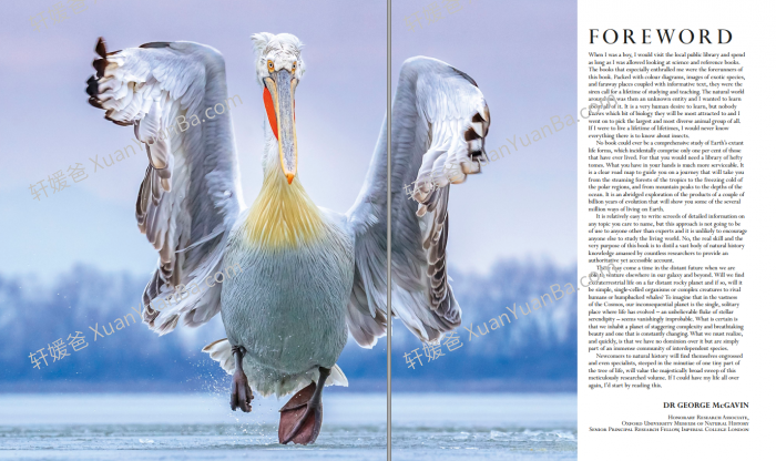 《The Natural History Book》664页DK科普类知识绘本PDF 百度云网盘下载