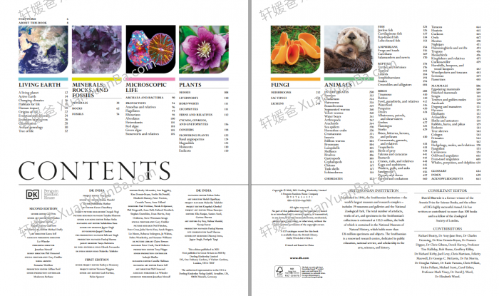 《The Natural History Book》664页DK科普类知识绘本PDF 百度云网盘下载