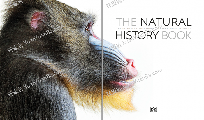 《The Natural History Book》664页DK科普类知识绘本PDF 百度云网盘下载