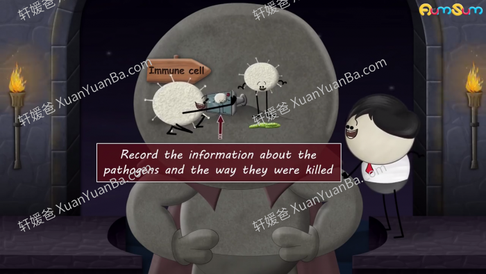 《Aumsum Time》1800集儿童知识类科普英文动画MP4视频 百度云网盘下载