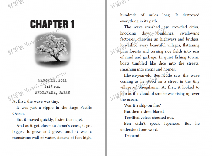 《幸存者系列 I Survived series》21册桥梁章节MP3音频+MOBI+EPUB+PDF 百度云网盘下载