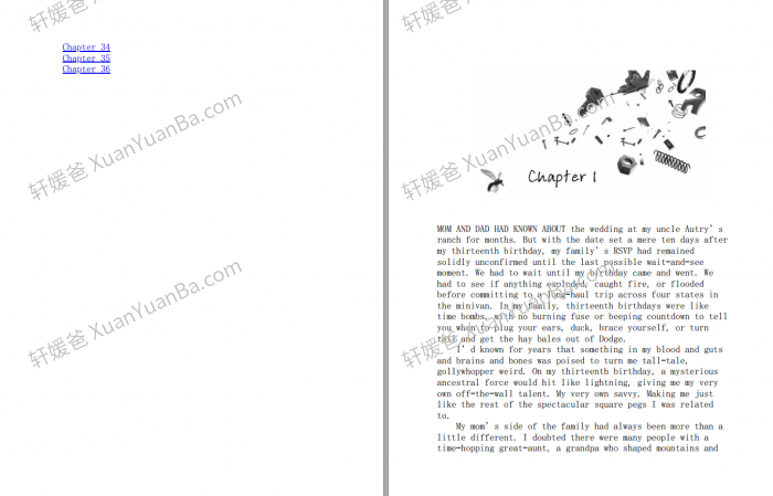 《灵力 Savvy Series by Ingrid Law 1-3》儿童小说青少年读物科幻虚构章节书PDF 百度云网盘下载