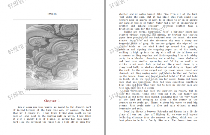 《灵力 Savvy Series by Ingrid Law 1-3》儿童小说青少年读物科幻虚构章节书PDF 百度云网盘下载