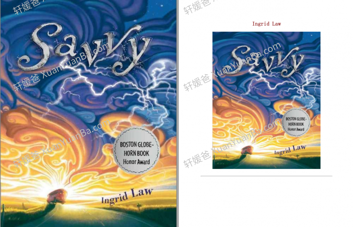《灵力 Savvy Series by Ingrid Law 1-3》儿童小说青少年读物科幻虚构章节书PDF 百度云网盘下载