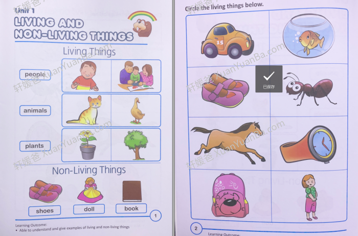 《Rainbow Science》新加坡幼儿园科学教材PDF 百度网盘下载