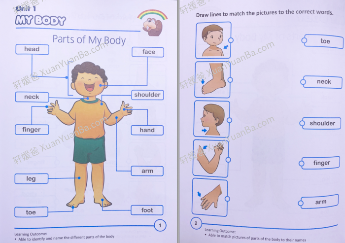 《Rainbow Science》新加坡幼儿园科学教材PDF 百度网盘下载