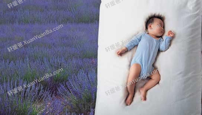 《黑幼龙：慢养孩子 静待花开》18集育儿视频MP4 百度网盘下载