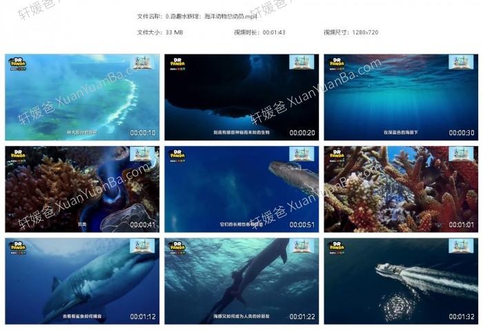 《熊猫博士看世界》全集229集26个不同主题MP4高清视频 百度网盘下载