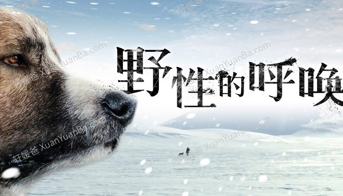 《野性的呼唤》31集有声故事MP3音频 百度网盘下载