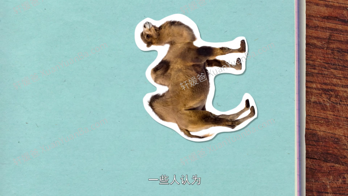 《奇妙的世界》120集儿童科学科普动画片MP4视频 百度云网盘下载