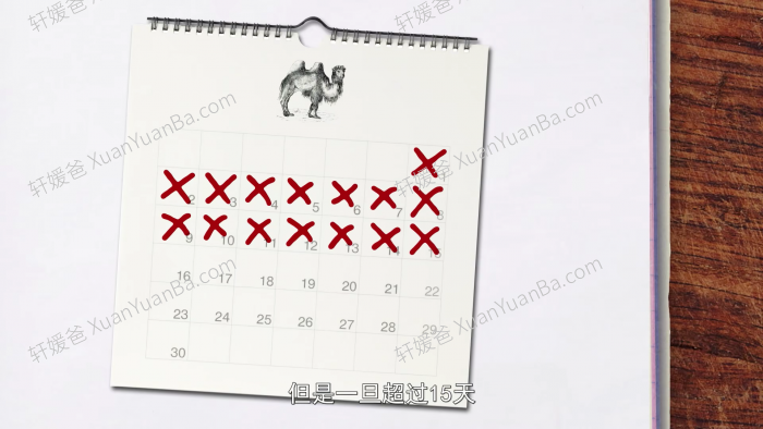 《奇妙的世界》120集儿童科学科普动画片MP4视频 百度云网盘下载