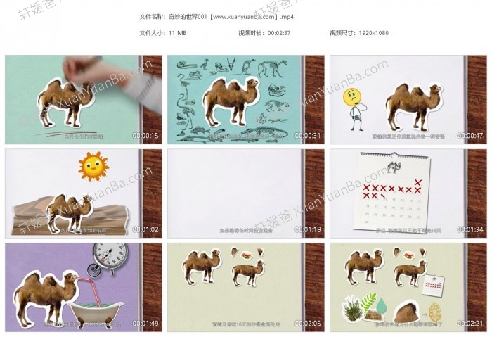 《奇妙的世界》120集儿童科学科普动画片MP4视频 百度云网盘下载