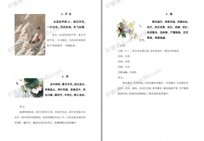 《小学小古文精选100篇》小学古文学习PDF 百度云网盘下载