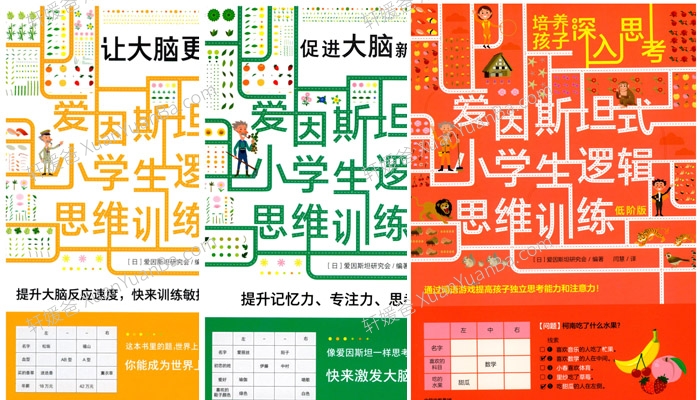 《爱因斯坦式小学生逻辑思维训练10本》数学思维扩展PDF 百度网盘下载