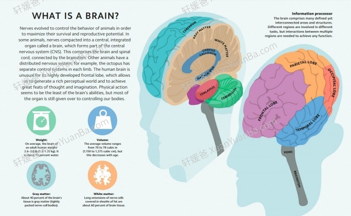 《DK Simply Series 5册》极简系列天文学哲学量子物理学数学PDF 百度云网盘下载