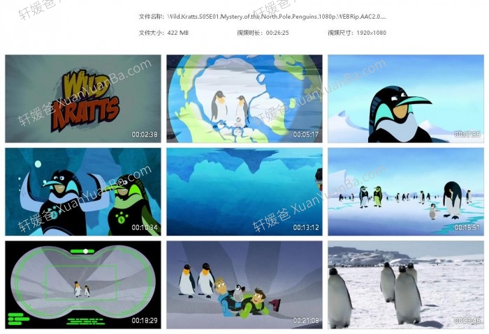 《Wild Kratts 动物兄弟 兄弟冒险王》第五季8集高清科普英文动画片MKV视频 百度云网盘下载