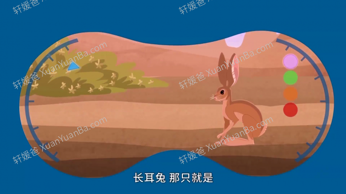 《Wild Kratts 动物兄弟 兄弟冒险王》第六季20集高清科普英文动画片MKV视频 百度云网盘下载