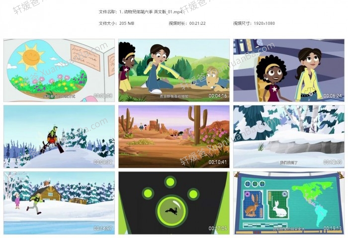 《Wild Kratts 动物兄弟 兄弟冒险王》第六季20集高清科普英文动画片MKV视频 百度云网盘下载