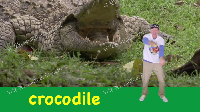 《Dream English kids》Matt叔叔一起学英语314集MP4视频 百度网盘下载