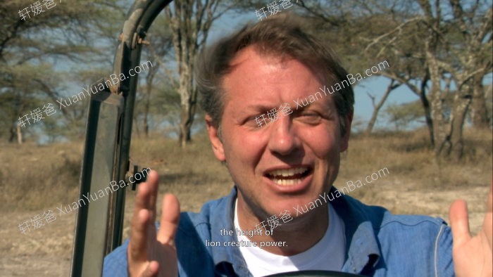 《Wild Kratts 动物兄弟 兄弟冒险王》第二季26集高清科普英文动画片MKV视频 百度云网盘下载