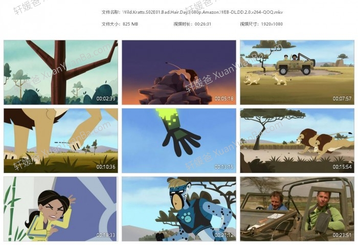 《Wild Kratts 动物兄弟 兄弟冒险王》第二季26集高清科普英文动画片MKV视频 百度云网盘下载