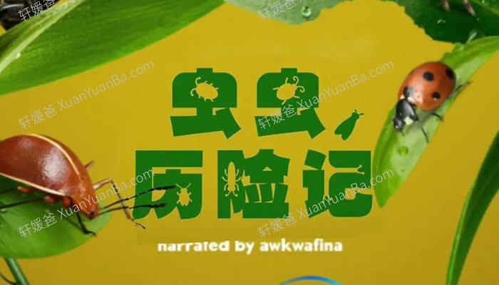 《虫虫历险记》第一季英文版5集全纪录片MP4视频  百度云网盘下载