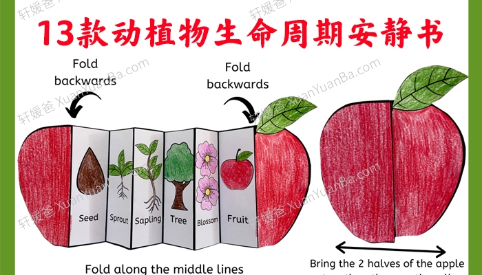 《13款动植物生命周期安静书》英文手工科学素材PDF 百度云网盘下载