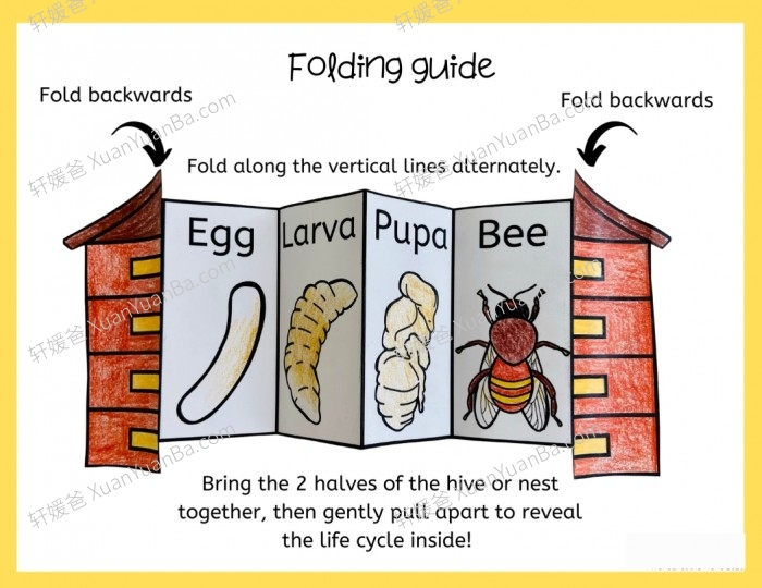 《13款动植物生命周期安静书》英文手工科学素材PDF 百度云网盘下载
