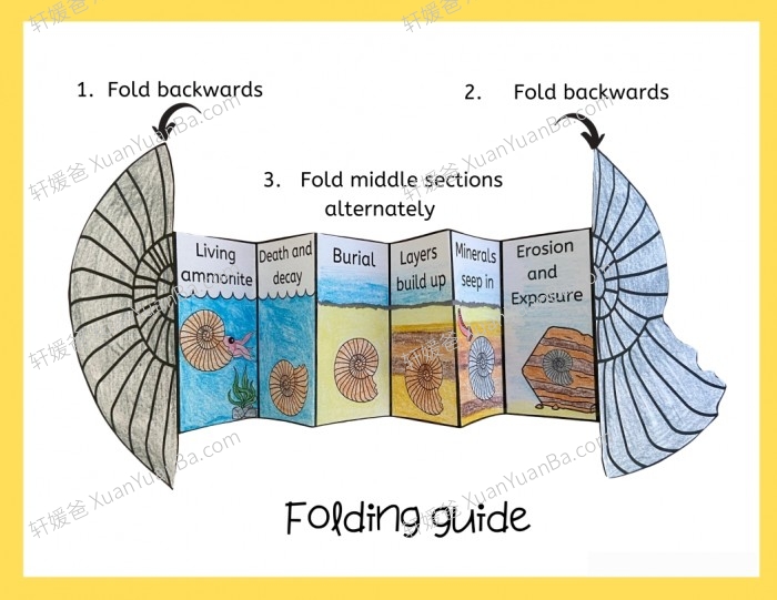 《13款动植物生命周期安静书》英文手工科学素材PDF 百度云网盘下载