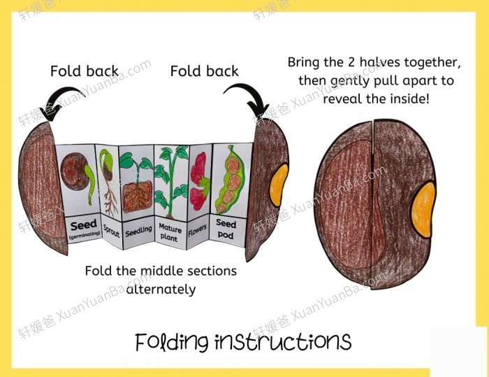 《13款动植物生命周期安静书》英文手工科学素材PDF 百度云网盘下载