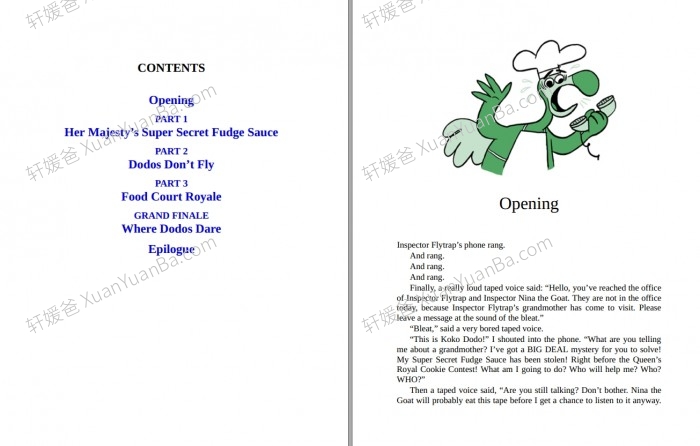 《Didi Dodo Future Spy Series 1-3》未来的间谍冒险故事英文原版侦探类英文桥梁书PDF 百度云网盘下载