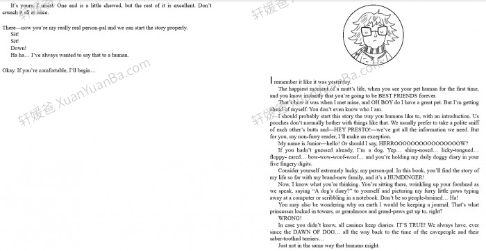 《狗狗日记 Dog Diaries Series 1-4》四册英文原版狗狗生活英文读物章节书PDF 百度网盘度云网盘下载