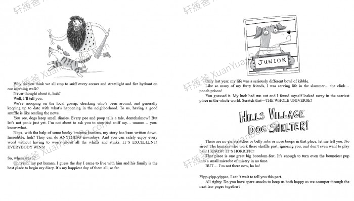 《狗狗日记 Dog Diaries Series 1-4》四册英文原版狗狗生活英文读物章节书PDF 百度网盘度云网盘下载