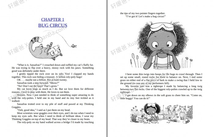 《佐伊和小猫萨萨 Zoey and Sassafras Series 1-9册》神奇生物科学实验英文原版章节有声读物音频MP3 百度云网盘下载