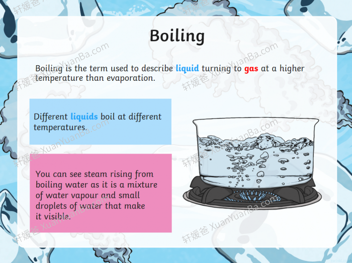 《Twinkl自然科学知识和词汇课件+练习纸+桌游》英语科学实验超好用PDF 百度云网盘下载