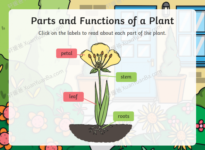 《Twinkl自然科学知识和词汇课件+练习纸+桌游》英语科学实验超好用PDF 百度云网盘下载