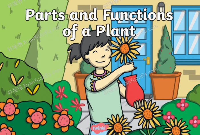 《Twinkl自然科学知识和词汇课件+练习纸+桌游》英语科学实验超好用PDF 百度云网盘下载