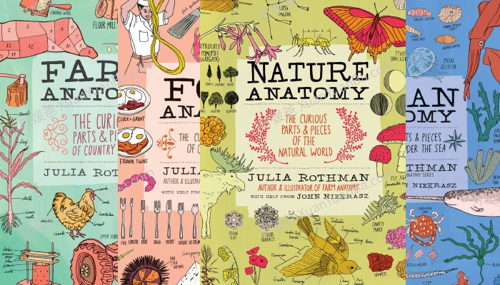 《 Anatomy Series 四部生物解剖学》农场食物自然海洋解剖学科学绘本阅读PDF 百度云网盘下载