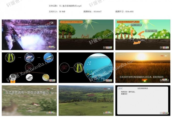 《生物大百科》182集初中小四门生物知识动画MP4视频  百度网盘下载