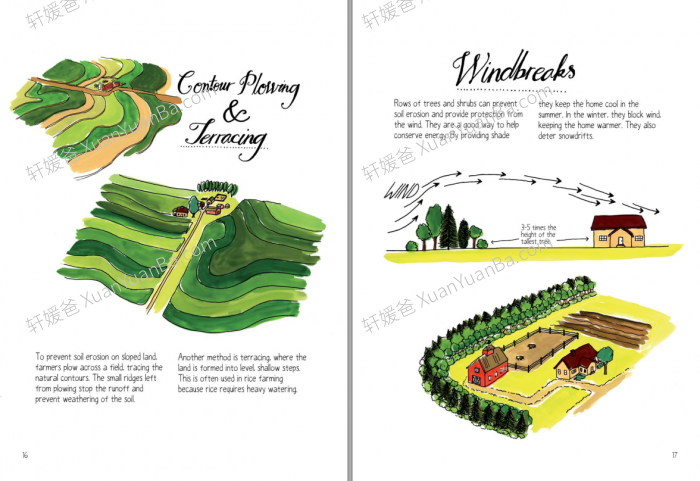 《 Anatomy Series 四部生物解剖学》农场食物自然海洋解剖学科学绘本阅读PDF 百度云网盘下载
