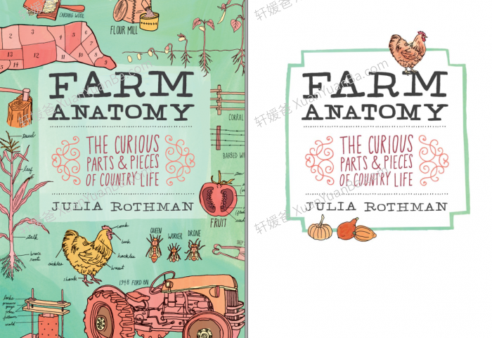 《 Anatomy Series 四部生物解剖学》农场食物自然海洋解剖学科学绘本阅读PDF 百度云网盘下载