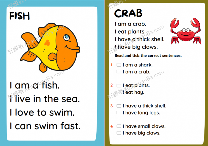 《七大主题低龄阅读理解 Reading Comprehension》小学英文初级阅读理解练习纸PDF电子版 百度云网盘下载