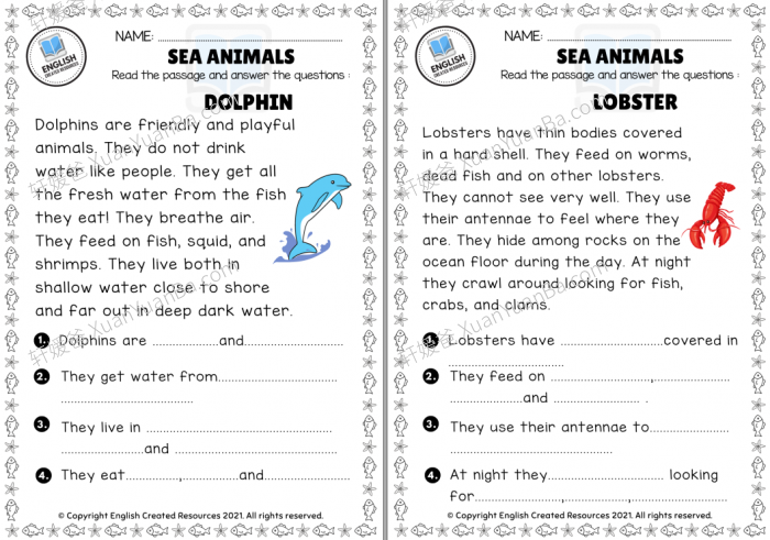 《七大主题低龄阅读理解 Reading Comprehension》小学英文初级阅读理解练习纸PDF电子版 百度云网盘下载